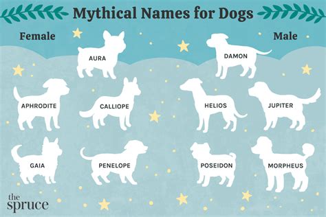 Magical pet names